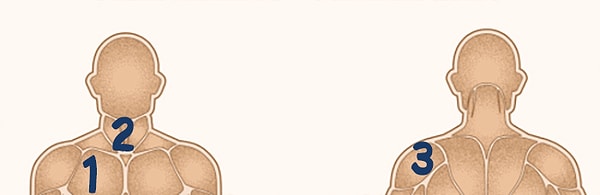 9. Грудинно-ключично-сосцевидная мышца находится под цифрой...