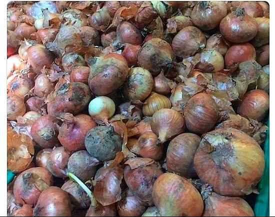 Marketlerdeki Kanserojen Maddeli Soğanlar Hayatımızı Nasıl Tehlikeye Atıyor?