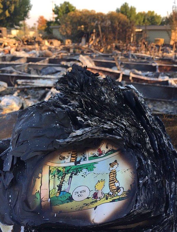 14. Kaliforniya yangınlarından sonra bir evin küllerinin arasında bulunan 'Calvin ve Hobbes' kitabının son sayfası.