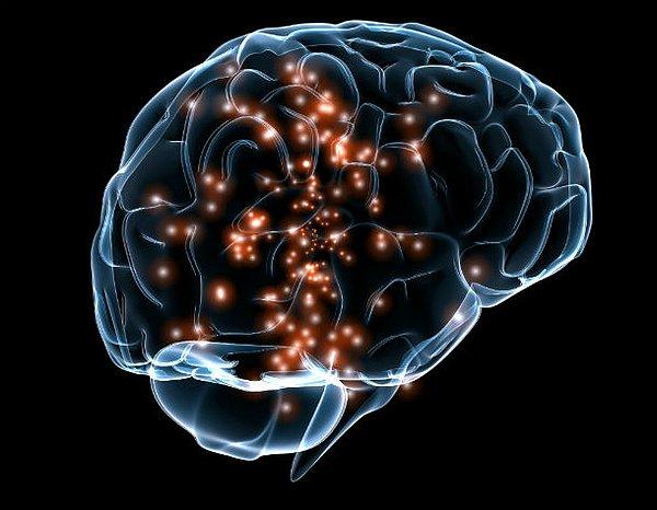 2. Rutgers Üniversitesi'ndeki araştırmacılar, uyarıldığınızda beyninizde tam olarak neler olduğunu anlayabilmek için MRI kullandılar.