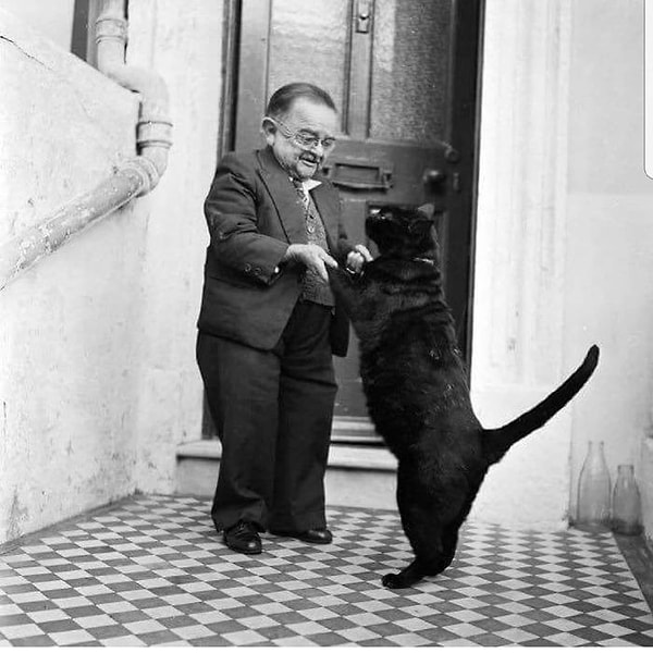 11. Какое мимишество!