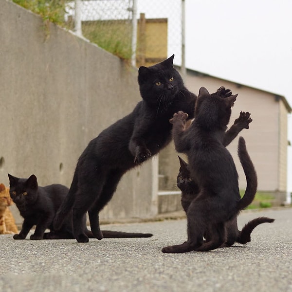 22. В черном районе свои танцы