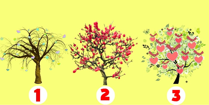 Тест: Выбрав магическое дерево, вы узнаете, что вам стоит изменить в жизни