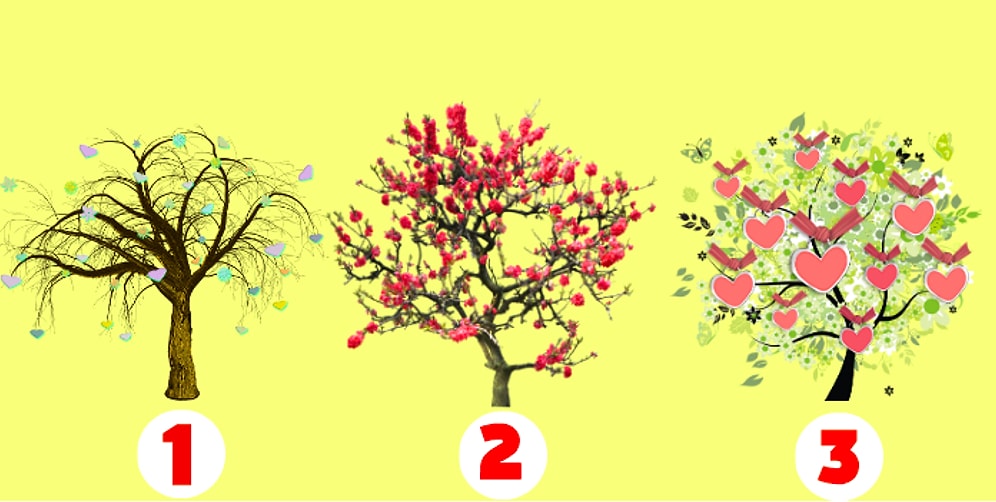 Тест: Выбрав магическое дерево, вы узнаете, что вам стоит изменить в жизни