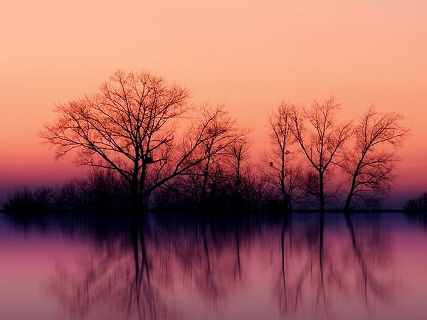 5. А теперь выберите один из двух цветов: