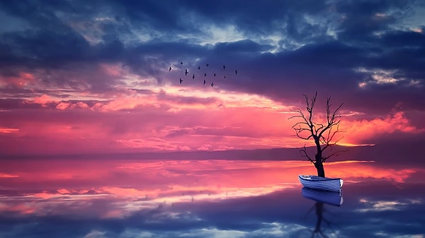 8. Какой цвет первым бросается в глаза?