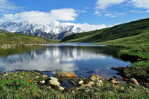 10. Самым большим по площади природным регионом в России является...