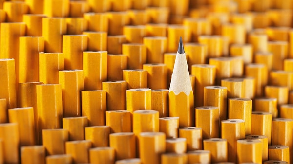 Если вы выбрали дверь с совой…