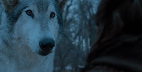 8. Как зовут лютоволка Арьи Старк?