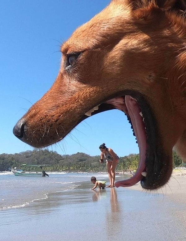 9. Захотелось заморить червячка.