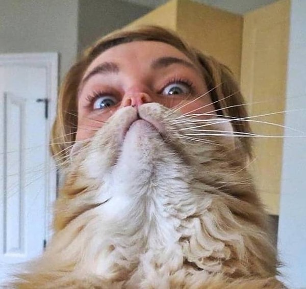 38. Где мои восковые полоски для усов?! 😱