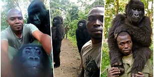 Nesli Tükenmek Üzere Olan Goriller Kendilerini Avcılara Karşı Koruyan Bekçileriyle Selfie Çektirdi