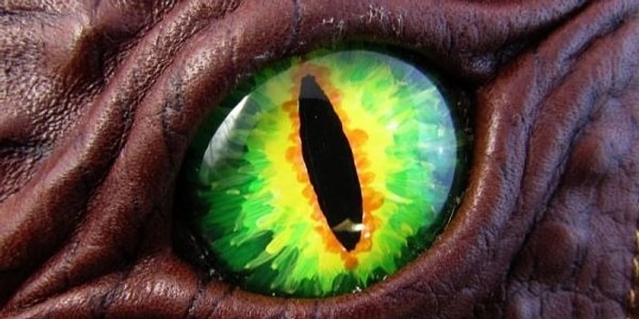 Ответьте на вопросы теста и узнайте, кто вы: дракон, ведьма или гоблин?