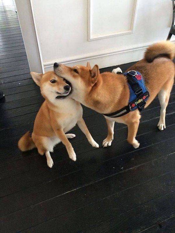 11. Дай я тебя поцелуююю!