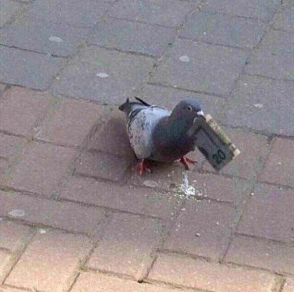 12. Полкило семок, пожалуйста.