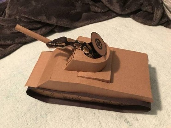 16. Со змеями шутки плохи.