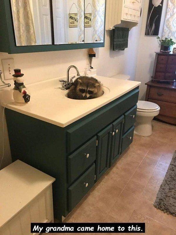 18. «Моя бабуля приходит такая домой, а тут...».