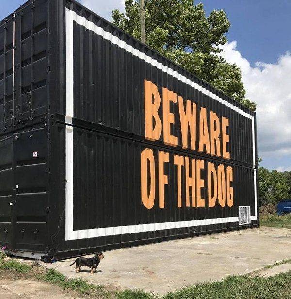 37. Осторожно! Злая собака! (Ну, не то чтобы злая, но всё-таки собака).