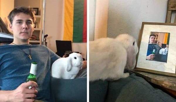 39. Ушастый заподозрил подвох.