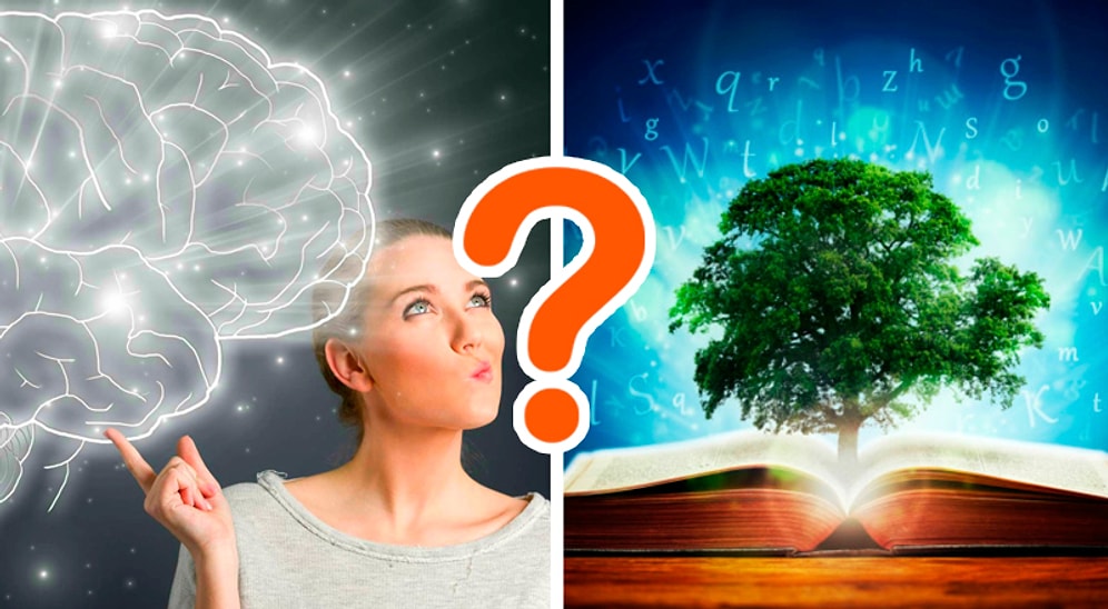 Тест на общие знания: Если наберете 13/14, то глубина ваших познаний бесконечна, как сама Вселенная