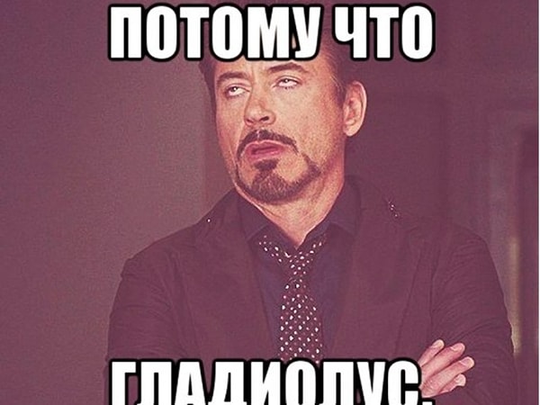 7. Где была сказана знаменитая фраза "Уральских пельменей" "Потому что гладиолус"?