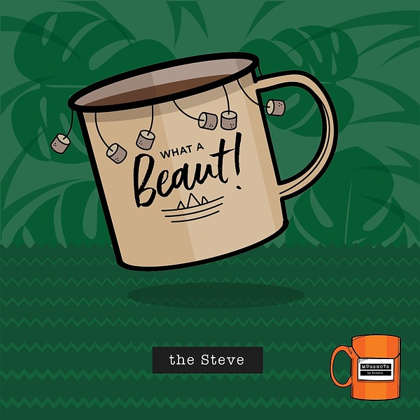 17. Стив Ирвин