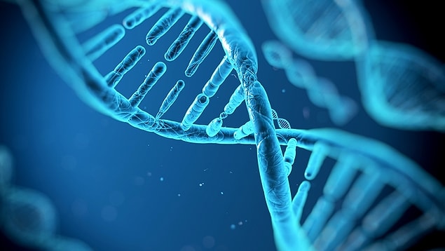 DNA Günü