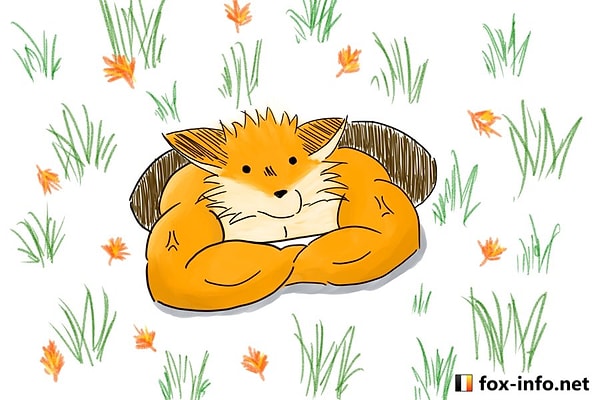 3. А что было дальше? Как и принято в лучших традициях Интернет-баттла, у лисенка начались приключения