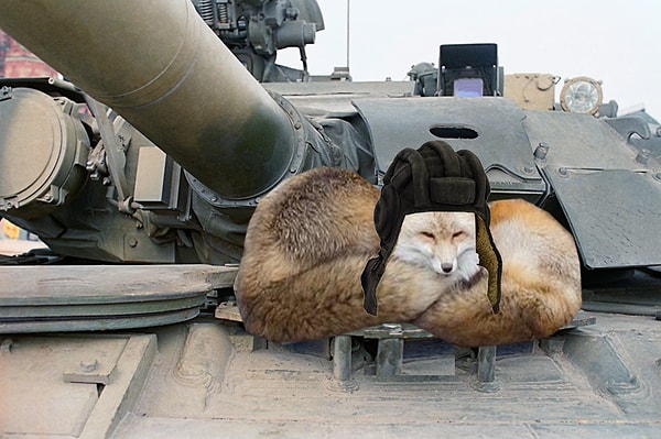 5. Он стал главным "качком" недели