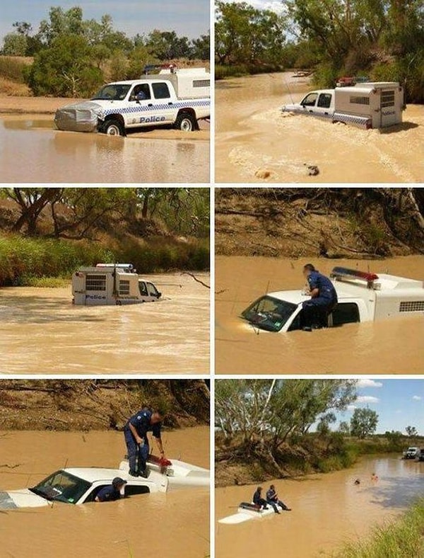 19. У полиции тоже бывают неудачные дни