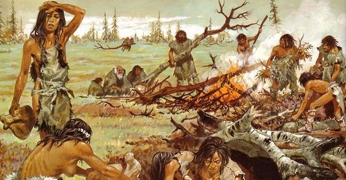 Тест: Смогли бы вы выжить в первобытном обществе?