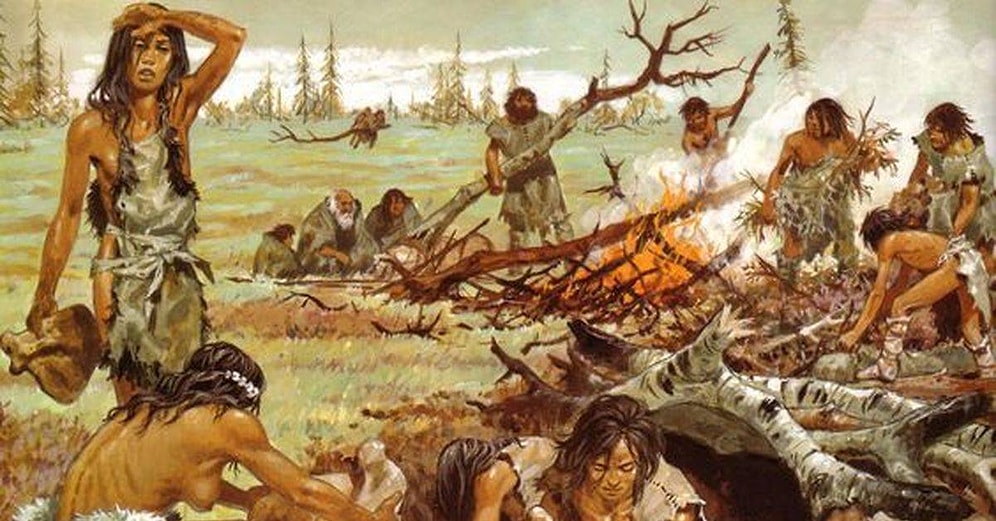 Тест: Смогли бы вы выжить в первобытном обществе?