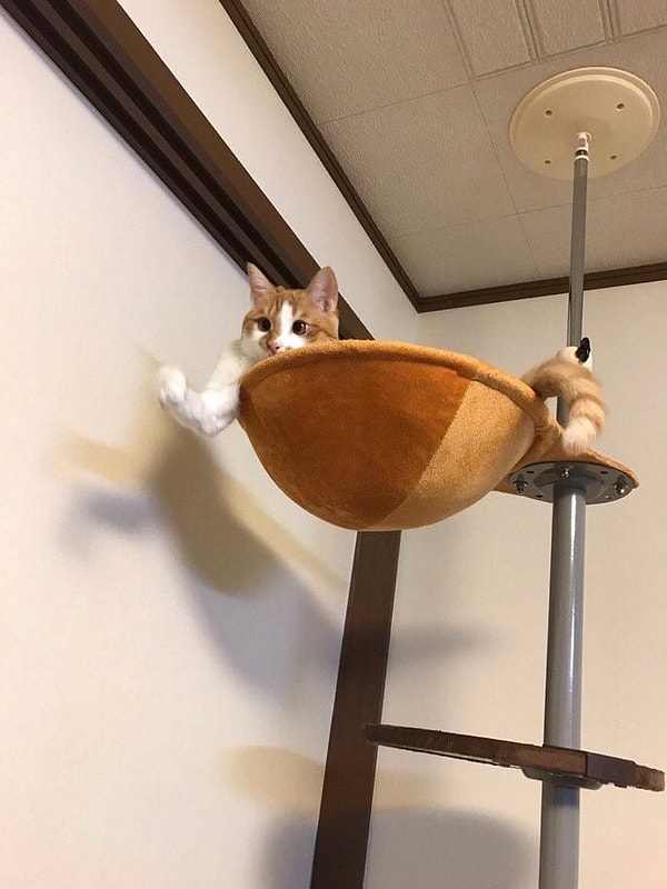 15. Казалось бы, история завершена... Но не тут-то было! У нас появился новый персонаж!