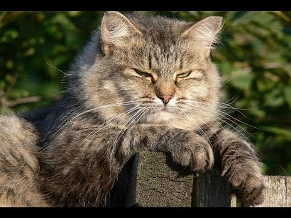 3. Можете ли вы назвать себя злопамятным человеком?