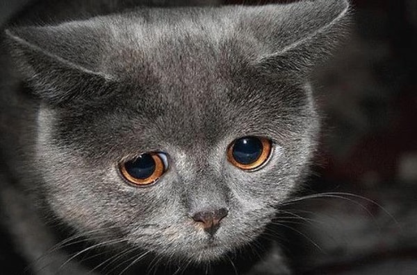 7. Какой черты характера вам не достает?