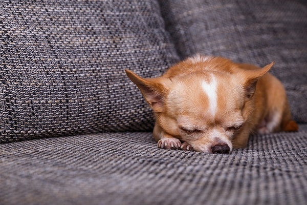 1. Приступим. В какой позе вы обычно спите?