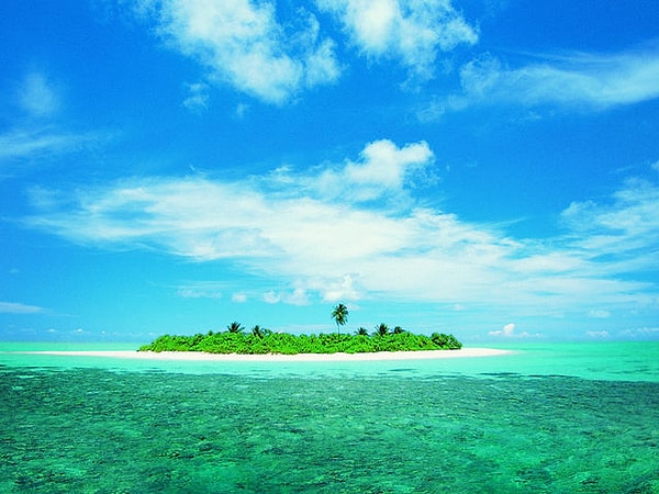 5. Вы оказались на необитаемом острове. Без чего вы там точно не выживете?