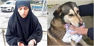 Akıl Hastanesine Yatırıldı: Sokak Hayvanlarını Kesip Yiyen Cani Yakalandı