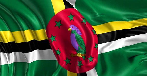 15. Dünya üzerinde yalnızca iki ülkenin bayrağında mor rengi vardır: Nikaragua ve Dominik.