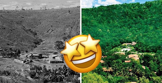 Было бы желание: Семейная пара из Бразилии посадила 2 миллиона деревьев за 20 лет, доказав, что помочь планете может каждый