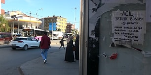 Sultangazi'deki Otobüs Duraklarında 'Sahibinden Satılık Böbrek' İlanı: 'Tüm Tahlillerim Yeni Yapıldı'