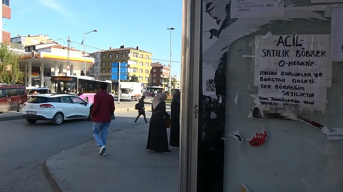 Sultangazi'deki Otobüs Duraklarında 'Sahibinden Satılık Böbrek' İlanı: 'Tüm Tahlillerim Yeni Yapıldı'