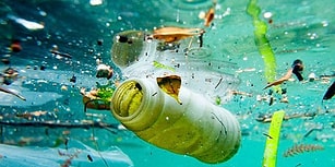 Greenpeace'e Göre Plastik Atıkların Yeni Adresi Türkiye: Kısıtlama Gelmeyince Atık İthalatı Beşe Katlandı
