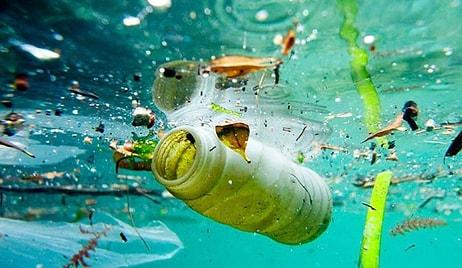 Greenpeace'e Göre Plastik Atıkların Yeni Adresi Türkiye: Kısıtlama Gelmeyince Atık İthalatı Beşe Katlandı