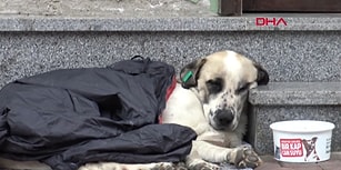 Yağmurda Islanan Sokak Köpeğine Montunu Veren Çocuk!
