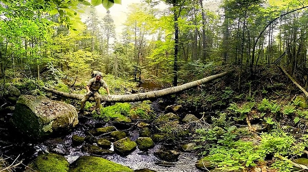 3. Что из перечисленного поможет вам выжить, даже если у вас нет всего остального?