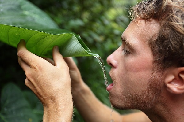 5. В условиях выживания найти воду - это всего лишь полдела. Необходимо также сделать ее безопасной для питья. Какой из этих способов подходит для этого?