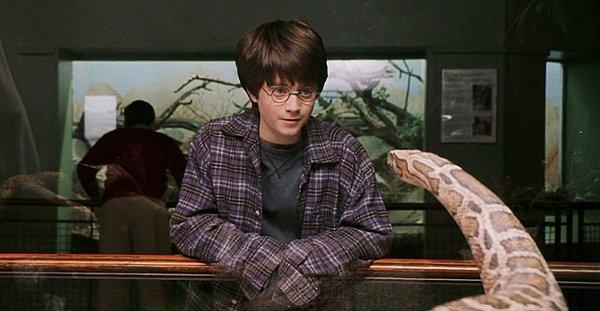 3. Yılanlarla konuşabilme yeteneğini Harry'e Lord Voldemort vermiştir ve geri alan yine odur.