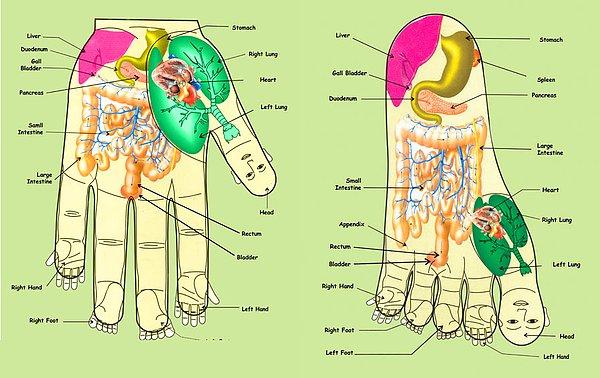 Bu masaj tipine refleksoloji deniyor ve ayaklarda, ellerde ve kafa üzerinde, vücudun her yerine bağlı basınç noktaları olduğu fikrine dayanıyor.