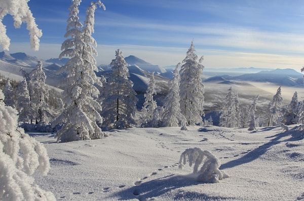 4. Есть догадки?